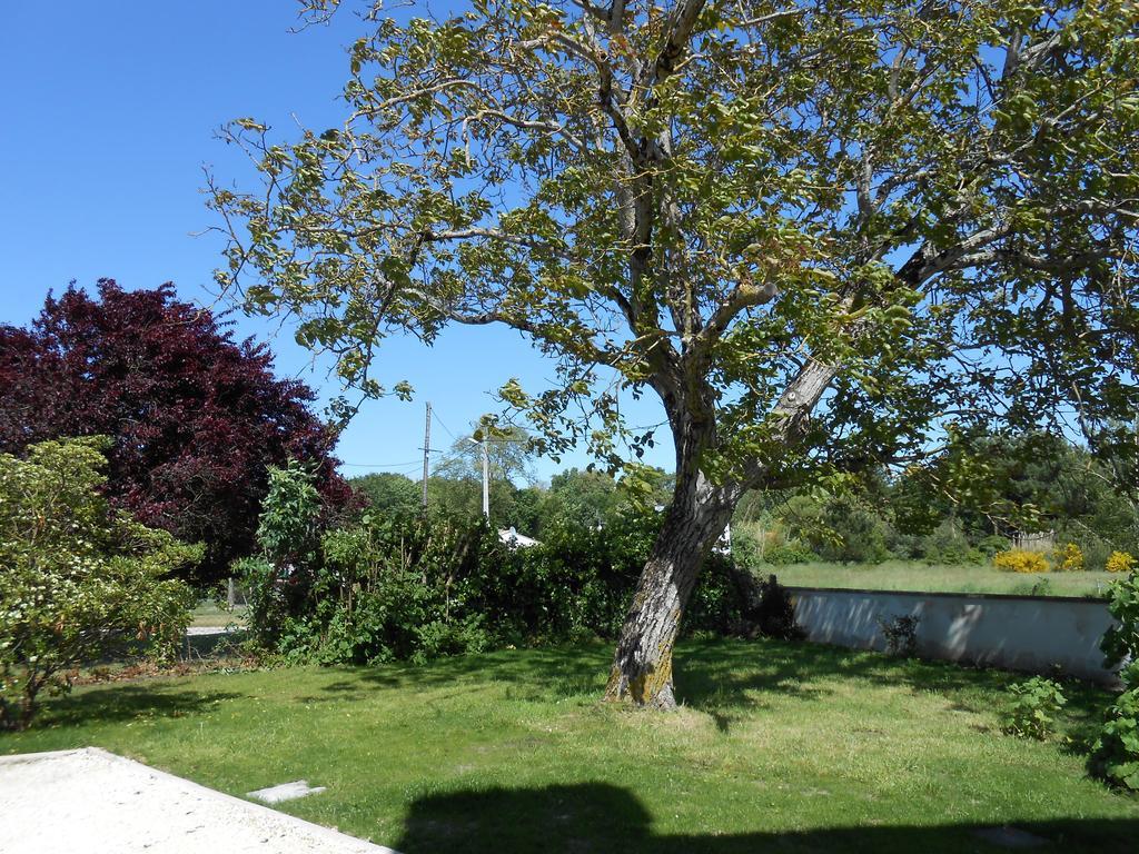 Le Clos De L'Atlantique Bed & Breakfast Arvert Bilik gambar